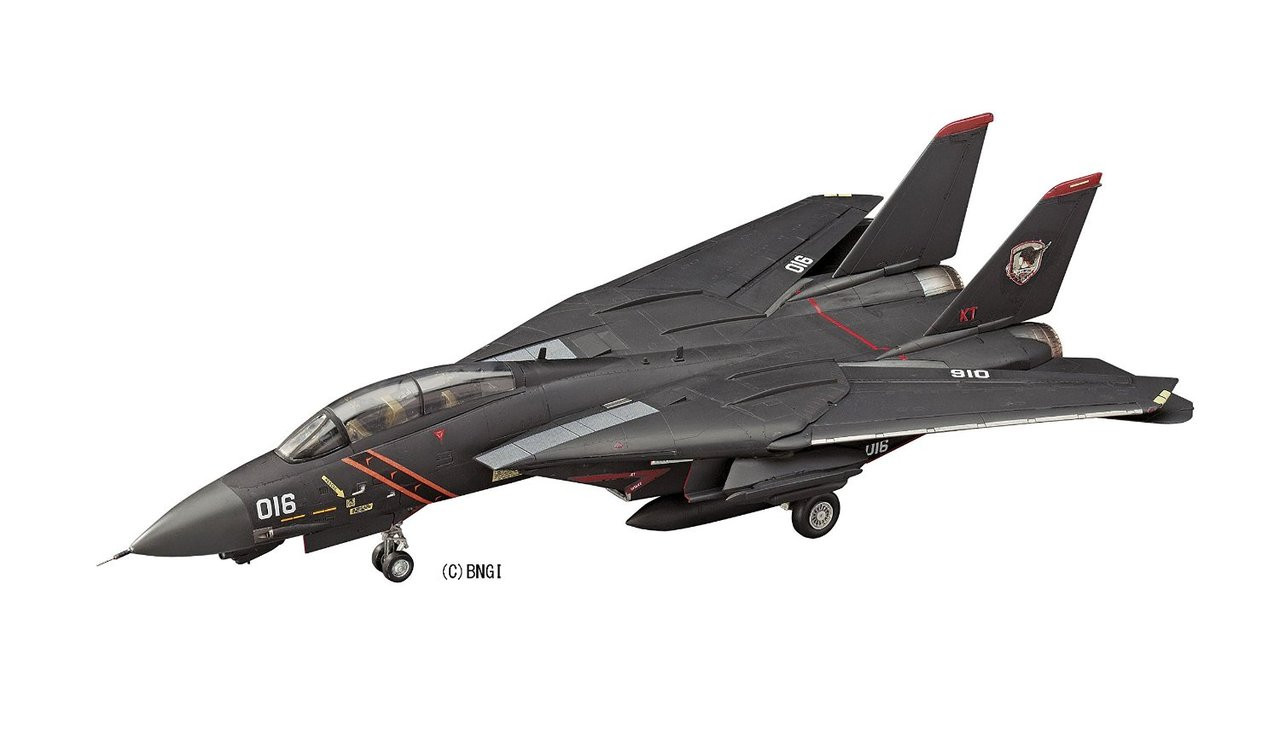 Hasegawa 1/72 Ace Combat F-14A Tomcat 'Razgriz' Plastic Model