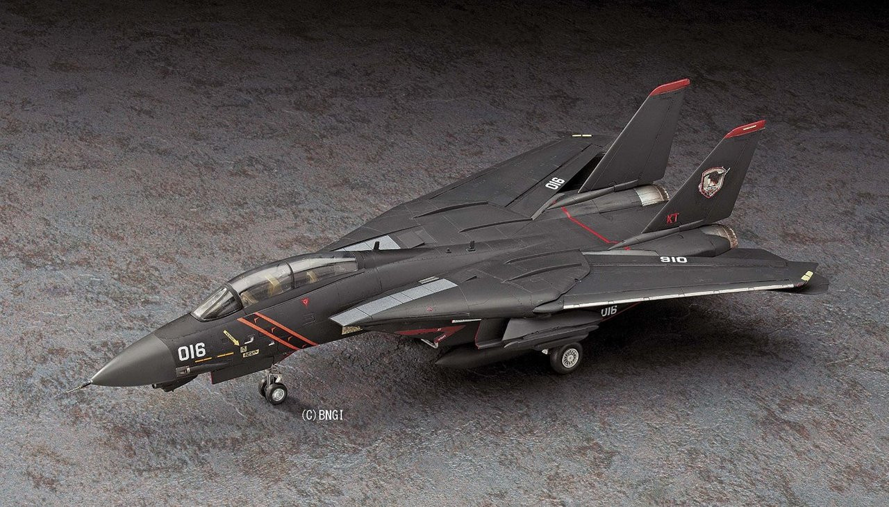 Hasegawa 1/72 Ace Combat F-14A Tomcat 'Razgriz' Plastic Model