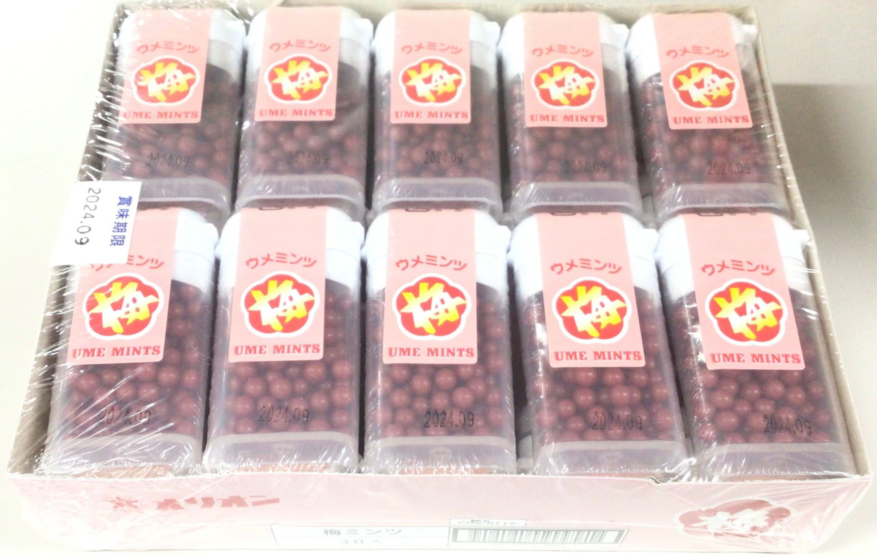 Orion Ume Mints Plum flavored mini candy 1 Box (40 Pieces