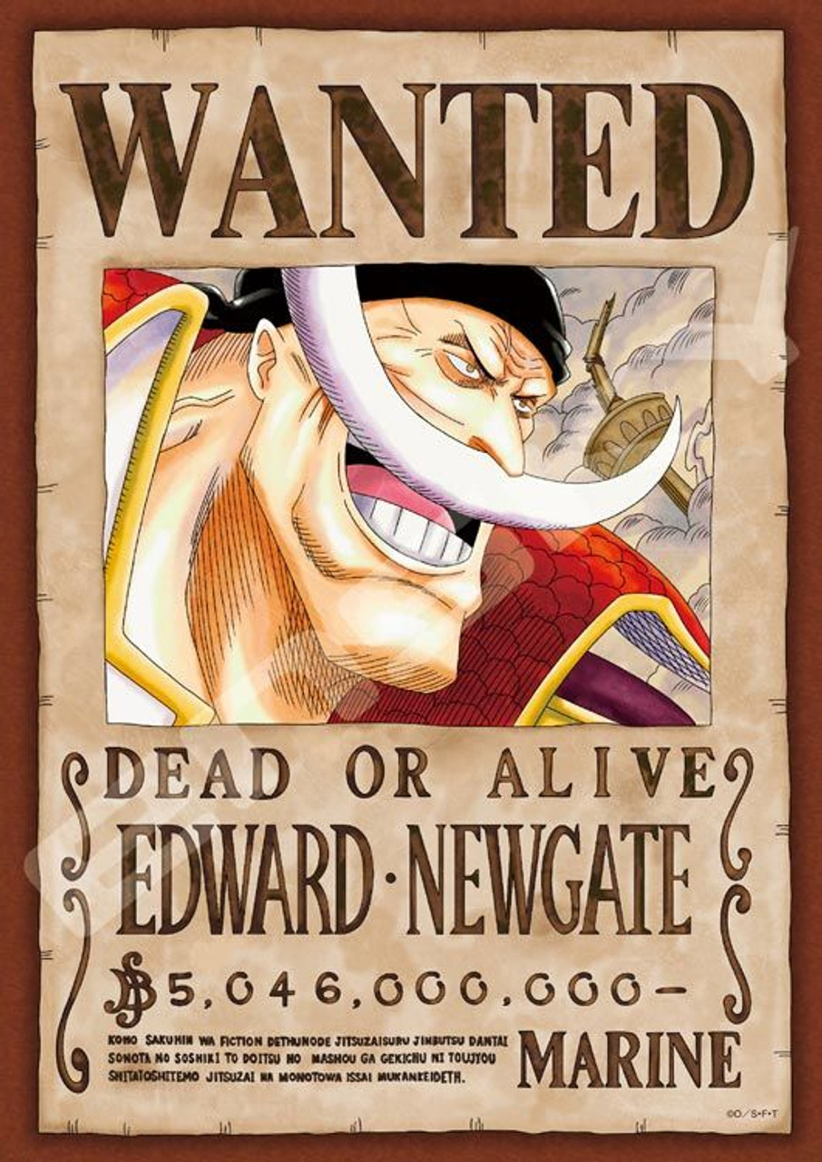 One Piece Wanted Poster Anime Puzzle