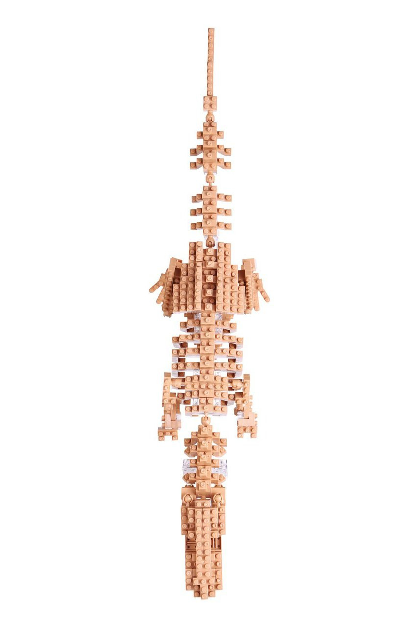Kawada NBM-012 nanoblock T-REX Skeleton Model - Plaza Japan