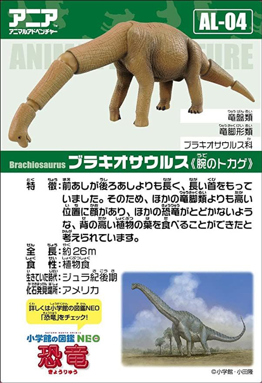 Honehone Saurus #44 