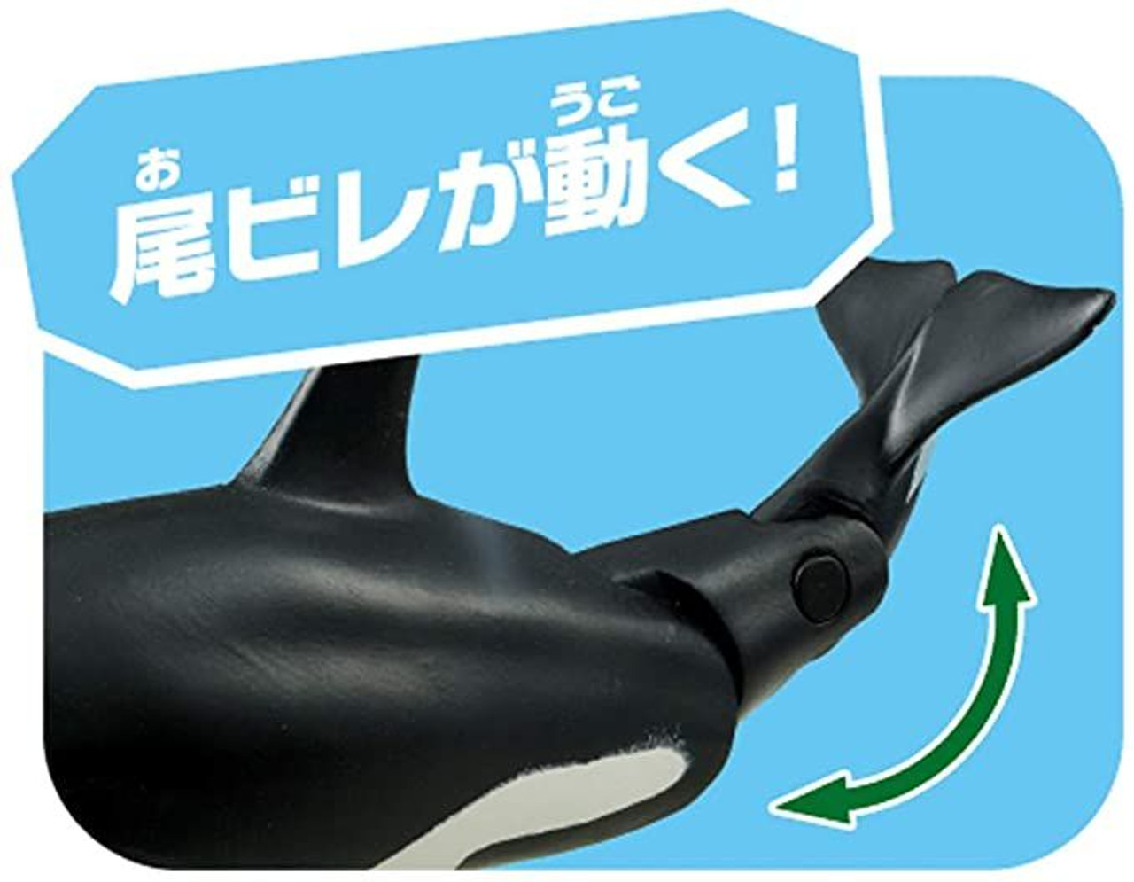 商品も通販 【組み立て済】【両手】Killer Whale | www.uauctioneers.net