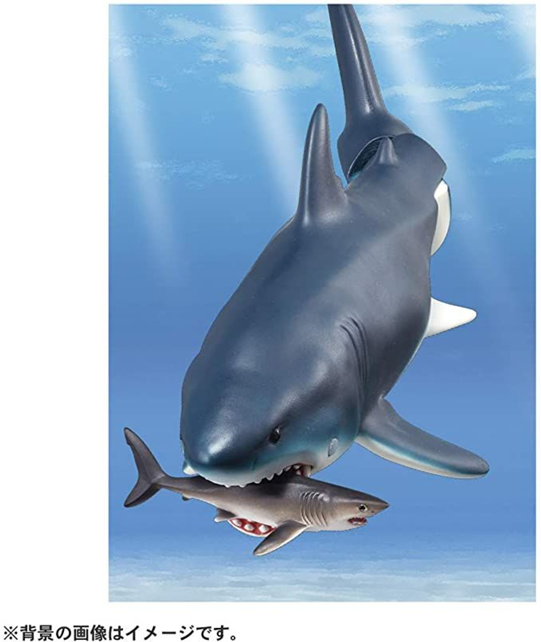 Animal Adventure Megalodon (Floating Version) Figure