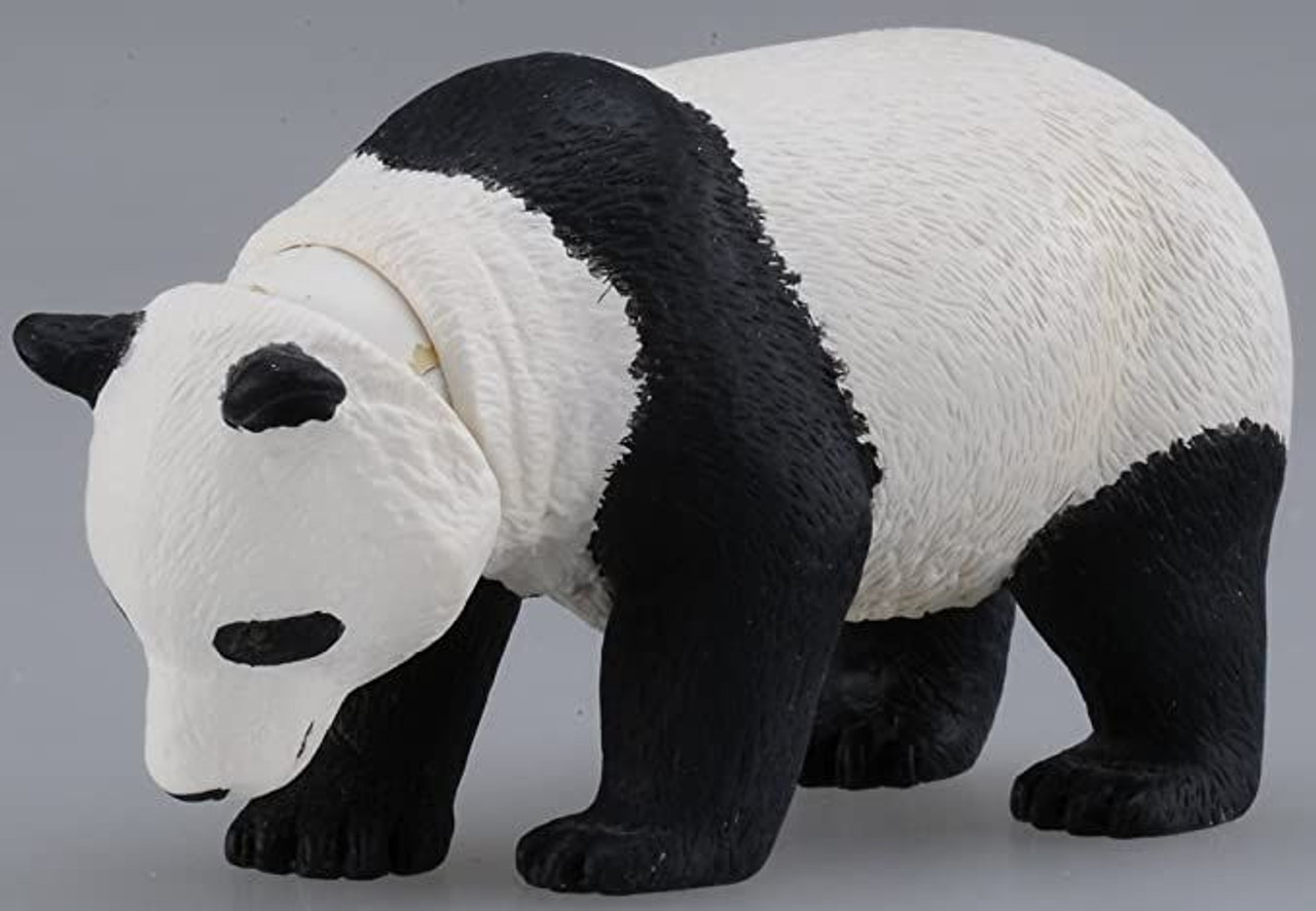 pygmy giant panda