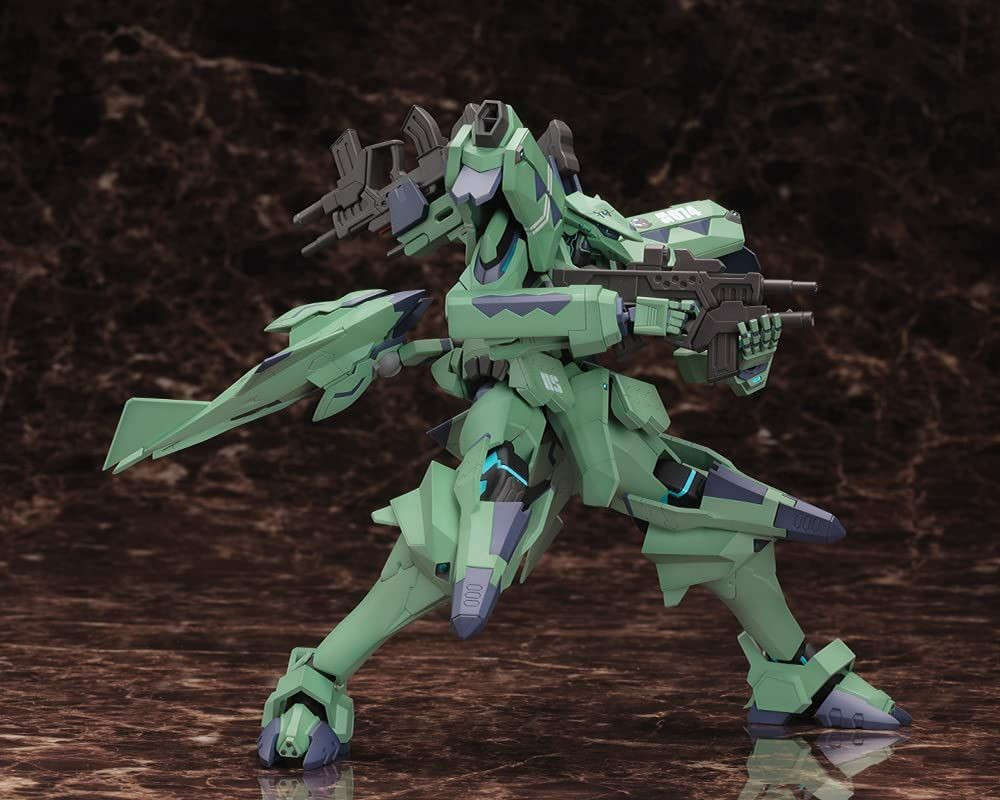 F-22A Raptor Alfred Walken Custom Plastic Model (Muv-Luv Alternative)