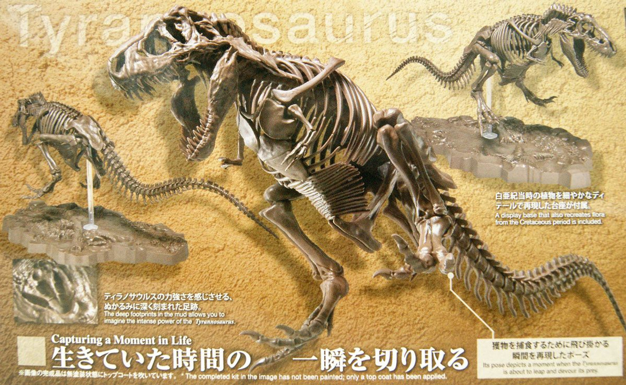 Imaginary Skeleton 1/32 Tyrannosaurus Plastic Model