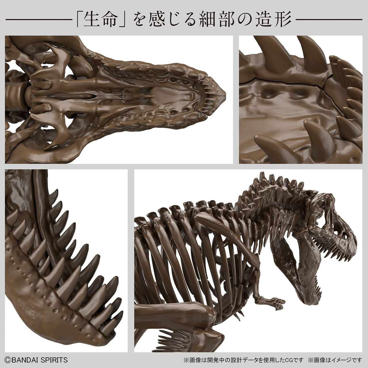 Imaginary Skeleton 1/32 Tyrannosaurus Plastic Model
