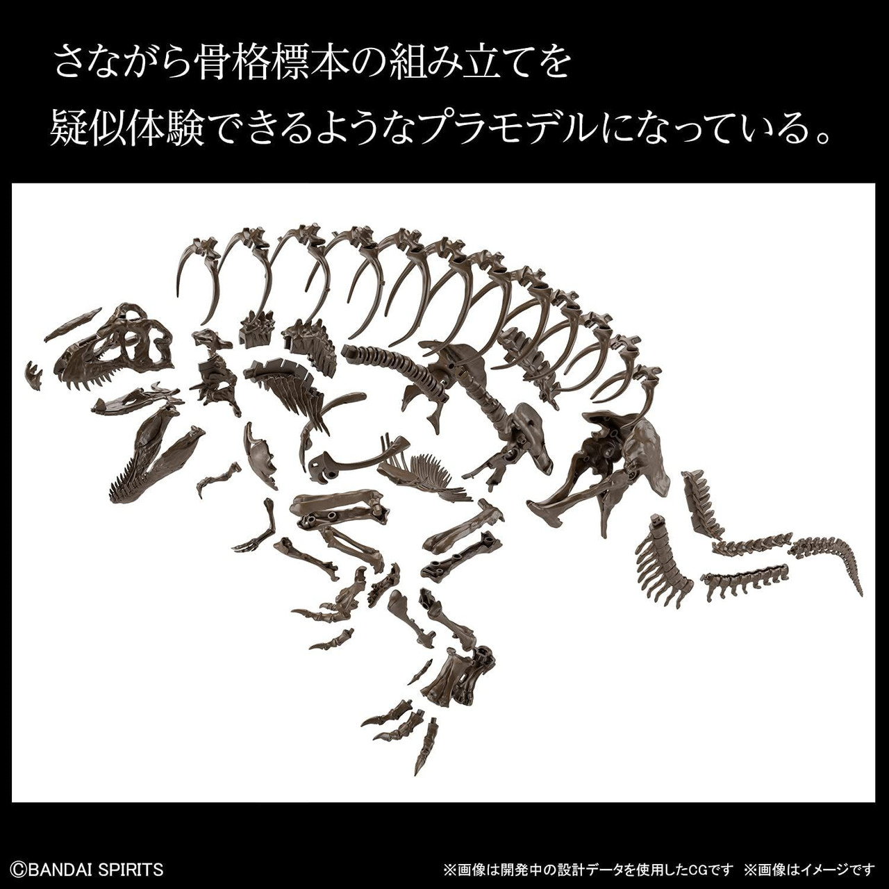 BANDAI 1/32 Tyrannosaurus 未組立 廃盤品 1/32 - Bandai Spirits Imaginary Skeleton - Tyrannosaurus T
