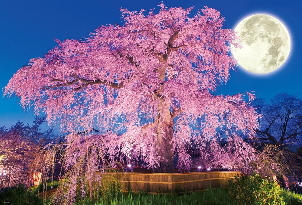 Solve Cherry Blossom Jigsaw Puzzle Online With 54 Pieces
