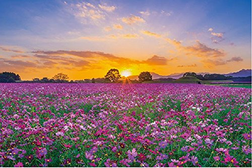 APPLEONE Jigsaw Puzzle 1000-802 Sunset and cosmos in Saitobaru Tombs (1000 Pieces)