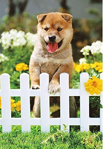 APPLEONE Jigsaw Puzzle 88-105 Play with Me Shiba Dog (88 L-Pieces)