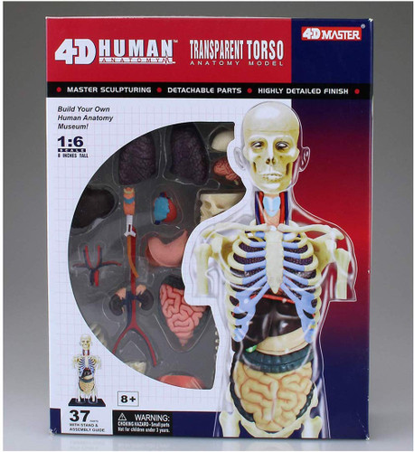 Aoshima 107157 4D Vision No.14 Transparent Torso Model Non-scale Kit