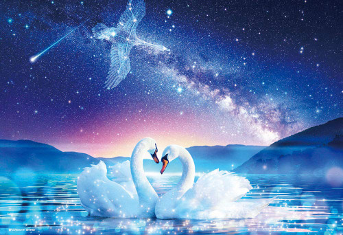 Beverly Jigsaw Puzzle M81-548 Wilfar Promise Under the Stars (1000 S-Pieces)