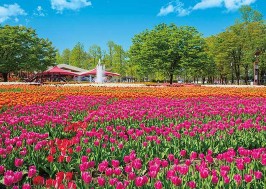 Appleone 500-290 Jigsaw Puzzle Tonami Tulip Park (500 Pieces)