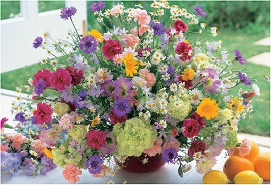 Appleone Jigsaw Puzzle Flower Art Cancer Eustoma (300 Pieces)