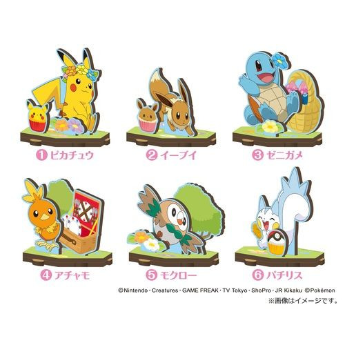 Pokemon Center MDF Toy Kit