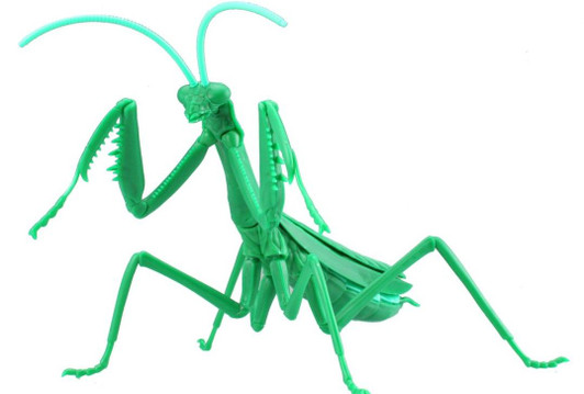 Fujimi Research Series Tenodera Aridifolia Metallic Green (Japanese Giant Mantis) Plastic Model