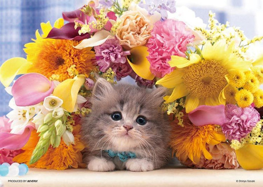 Beverly P108-844 Jigsaw Puzzle Kitten Surrounded by Flowers (108 Pieces)