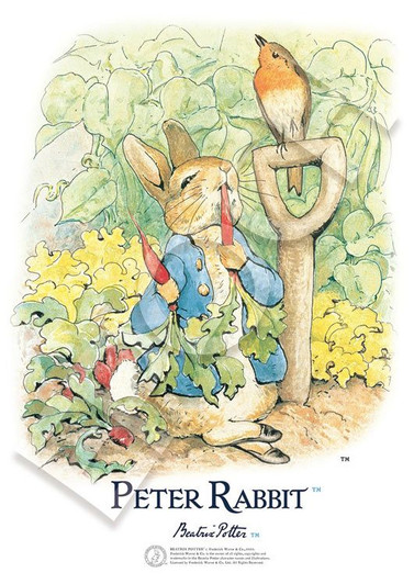 Epoch 04-019 Jigsaw Puzzle Peter Rabbit The Art of Beatrix Potter With Robin (216 S-Pieces)