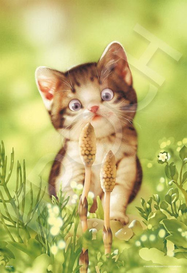 Epoch 28-817s Jigsaw Puzzle Horsetail and Kitten Makoto Muramatsu (300 Pieces)