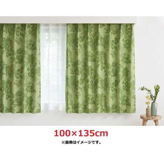 Pokemon Center Original Pokemon Center Blackout Curtains Eeveeloutions 100E¾EEE»35cm 2pcs