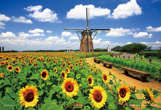 Yanoman 01-2082 Jigsaw Puzzle Dutch Windmill and Sunflowers Chiba Japan (108 L-Pieces)