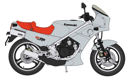 Hasegawa 1/12 KAWASAKI KR250 (KR250A) Silver Plastic Model