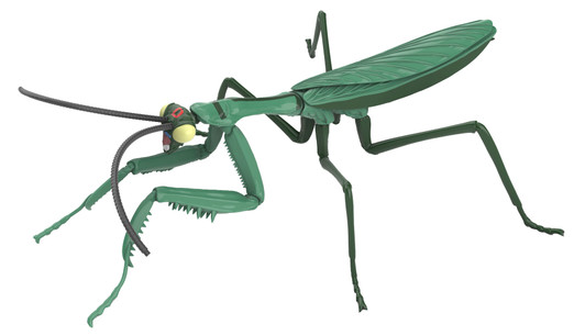 Fujimi Research Series Tenodera Aridifolia (Japanese Giant Mantis) Yatterman Boyakki  Ver. Plastic Model