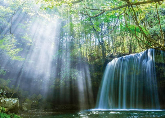 Epoch 79-345s Jigsaw Puzzle Nabiga Falls (500 Pieces)