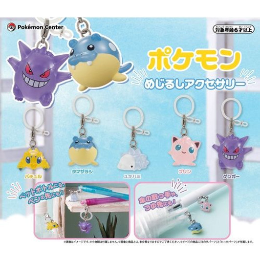 Pokemon Center Original Pokemon Mejirushi Accessories