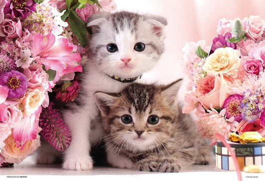 Beverly 1000M-007 Jigsaw Puzzle Two Cute Kittens (1000 S-Pieces)