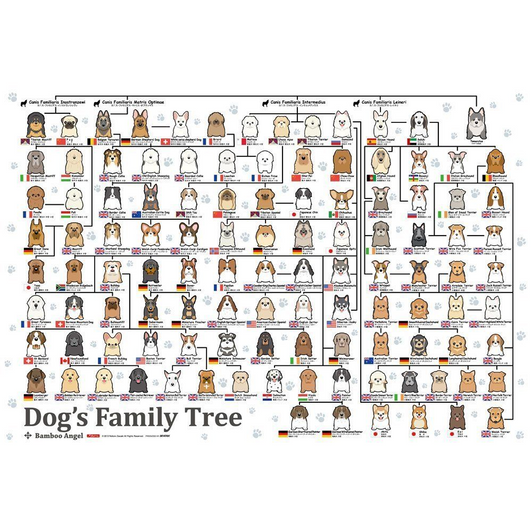 Beverly Jigsaw Puzzle P61-364 Dogs Family Tree (1000 Pieces) Beverly Jigsaw Puzzle P61-364 Dogs Family Tree (1000 Pieces)