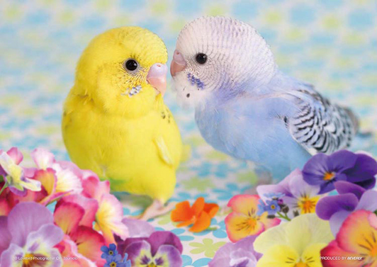 Beverly Jigsaw Puzzle P88-019 Pet Parakeet Chu Chu Chu (88 L-Pieces)