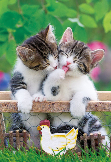 Apollo-sha Jigsaw Puzzle 48-646 Pet Lovely Cat (300 Pieces)