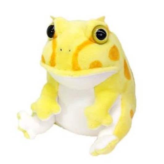  Sun Arrow Picnica Horned Frog 