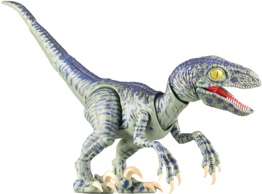  Fujimi Research Series Velociraptor (Movie: Crayon Shin-chan: My Dinosaur Diary) Package Version Plastic Model 