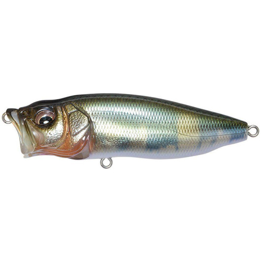  Megabass Pop-Max Takumi-Hasu 