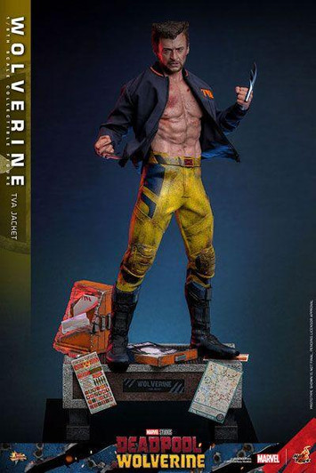  Hot Toys Movie Masterpiece: Deadpool & Wolverine - Wolverine (TVA Jacket Edition) 1/6 Figure 