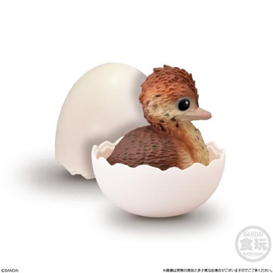  Bandai Candy Handheld Baby Friends - Birds - 12pcs Box 