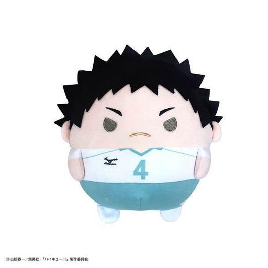  Max Limited Haikyuu!! Fuwakororin M Size - Iwaizumi Hajime (Reprint) Plush Toy 