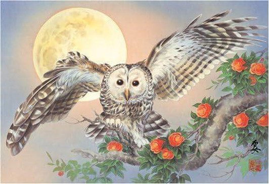  Appleone 300-170 Jigsaw Puzzle Fukurou (Kozuma Kaname) (300 Pieces) 