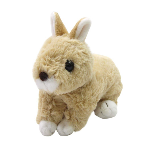 TAKE OFF Rabbit Marron Netherland Dwarf (Beige)