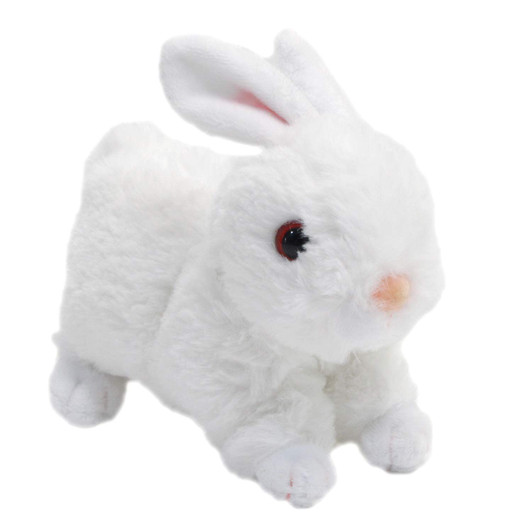 TAKE OFF Rabbit Maron Rex (White)
