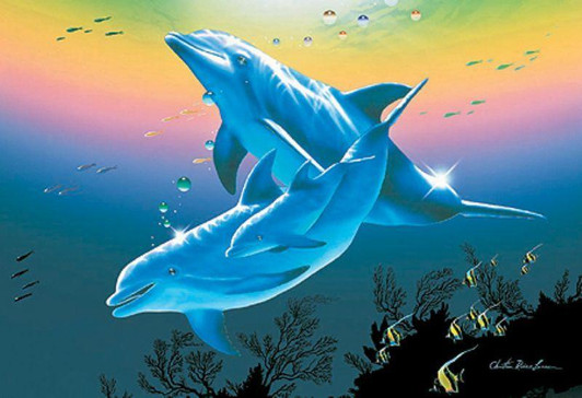  Beverly Jigsaw Puzzle Dolphin Family Cruise (CR Lassen) (300 Pieces) 