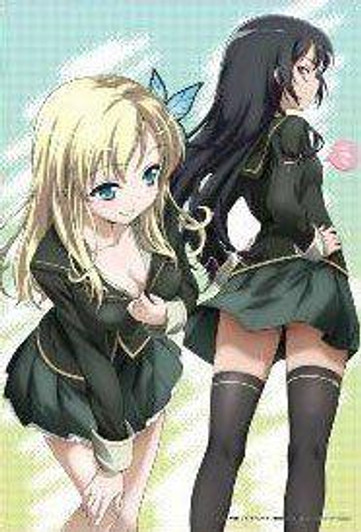  Yanoman 03-773 Jigsaw Puzzle Haganai: 2 Friends!? First Press Version (300 pcs) 