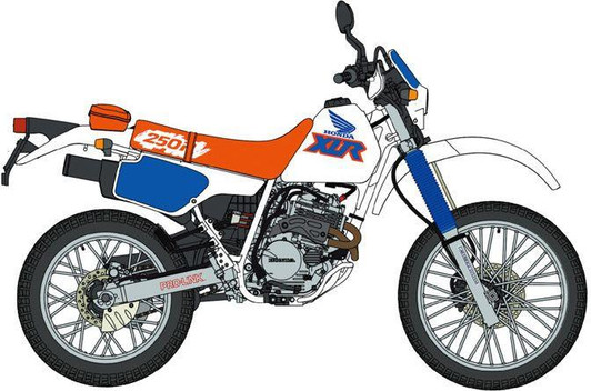  Hasegawa 1/12 Honda XLR250R (MD22) (1991) Plastic Model 