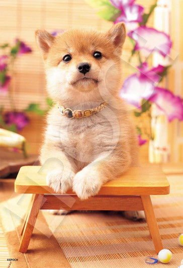 Epoch Jigsaw Puzzle Dog Days 28-049 (300 Pieces) 