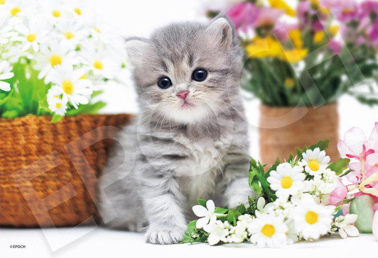 Epoch Jigsaw Puzzle Prim and Proper Kitty 028-051 (300 Pieces) 