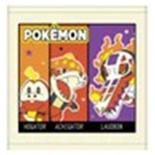 Other Pokemon WT 4727 Hogeta Atigueeta Raudobon 